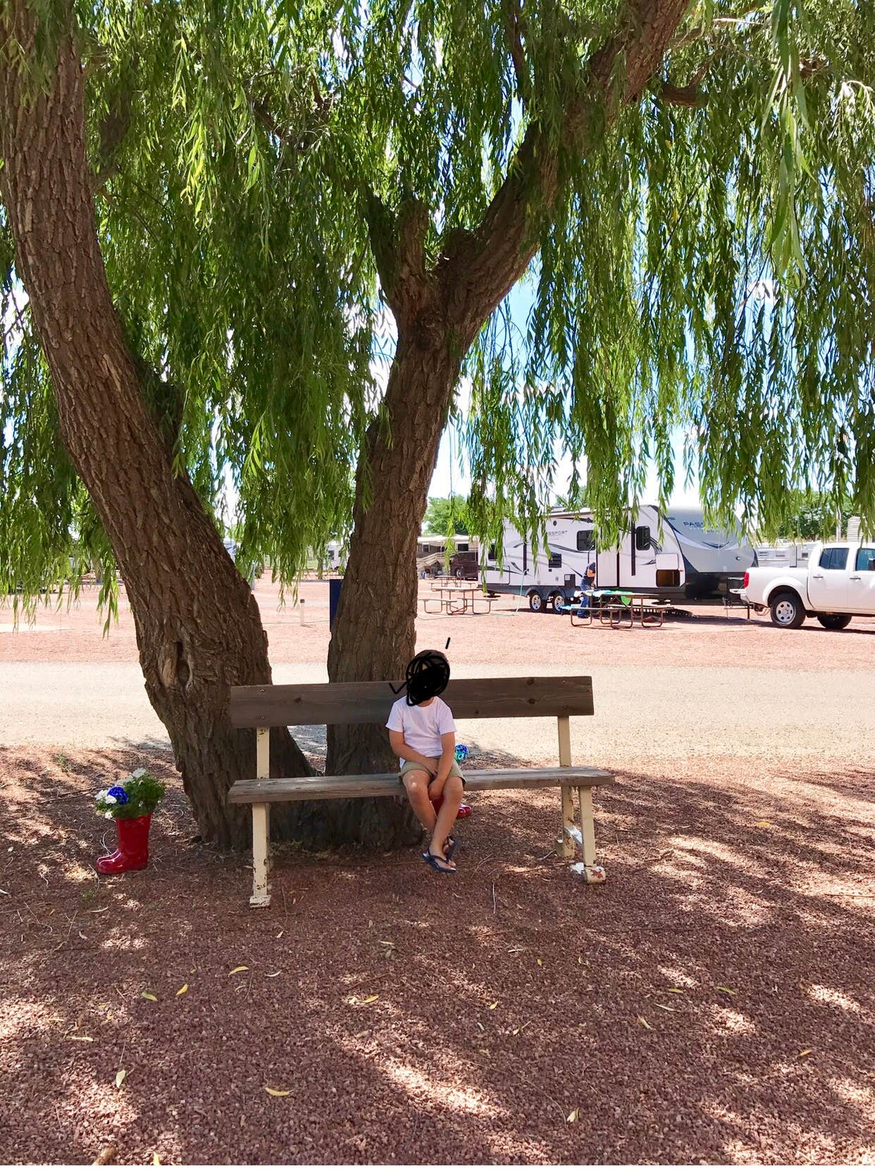 Elizabeth C.'s photo of rv camping at USA RV Park near Chambers, AZ