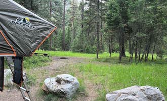 Camping near Stony Cabin: Harrys Flat, Clinton, Montana