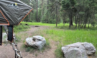 Camping near Dalles: Harrys Flat, Clinton, Montana