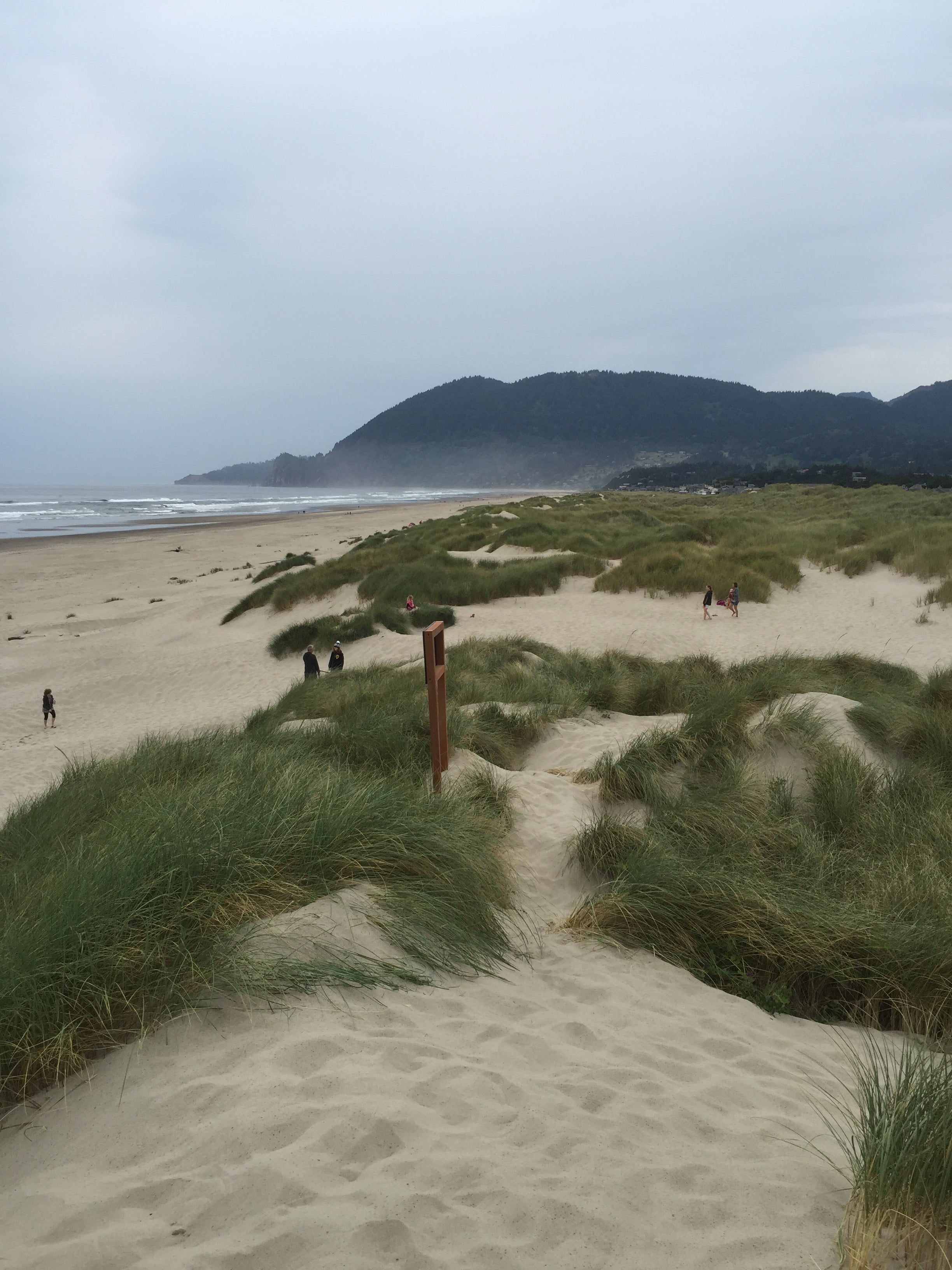 Camper submitted image from Nehalem Bay State Park Campground - 1