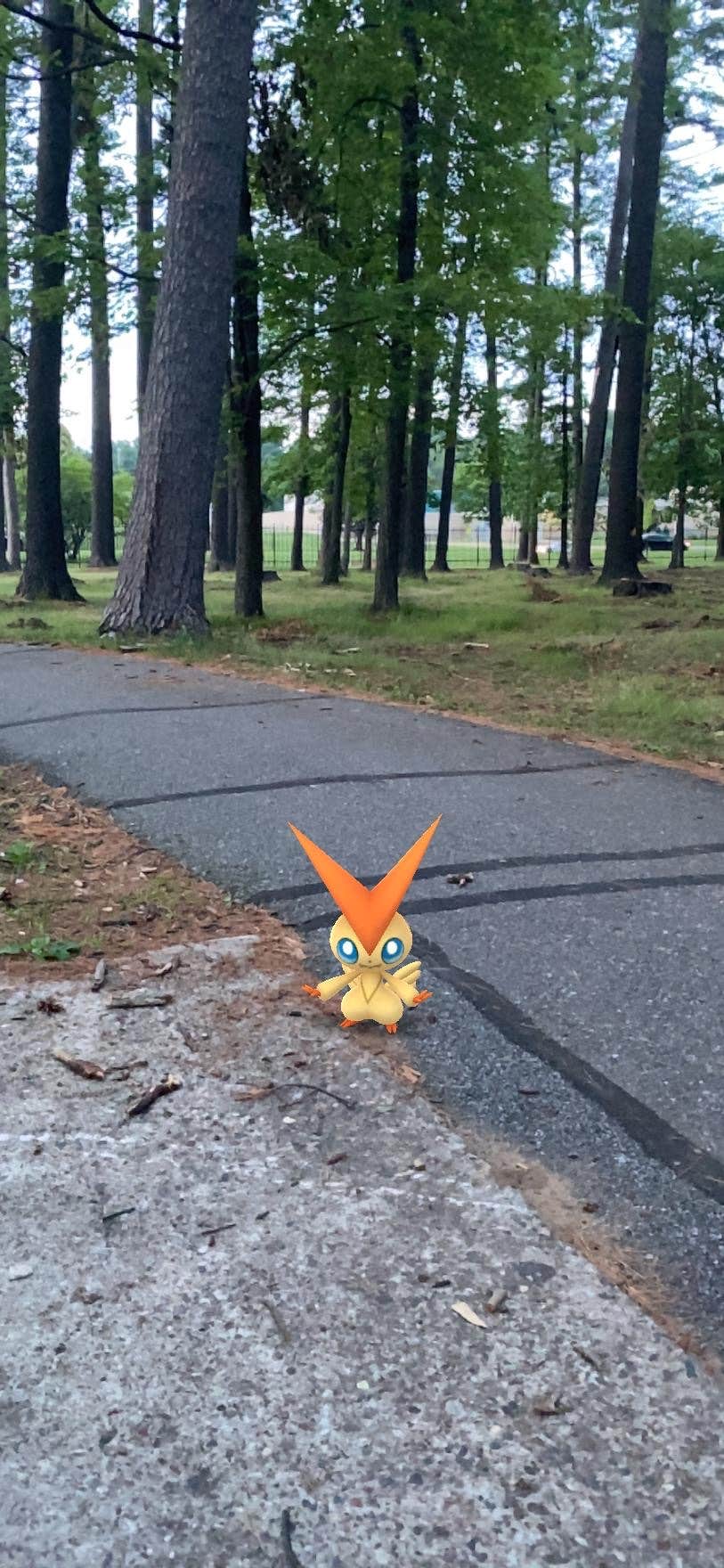 Camper-submitted photo at Marathon Park Campround near Merrill, WI