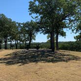 Review photo of Wise County Park by Levi B., July 17, 2022