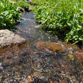Review photo of Alta Lakes Campground (Dispersed) by Ronnie S., July 17, 2022