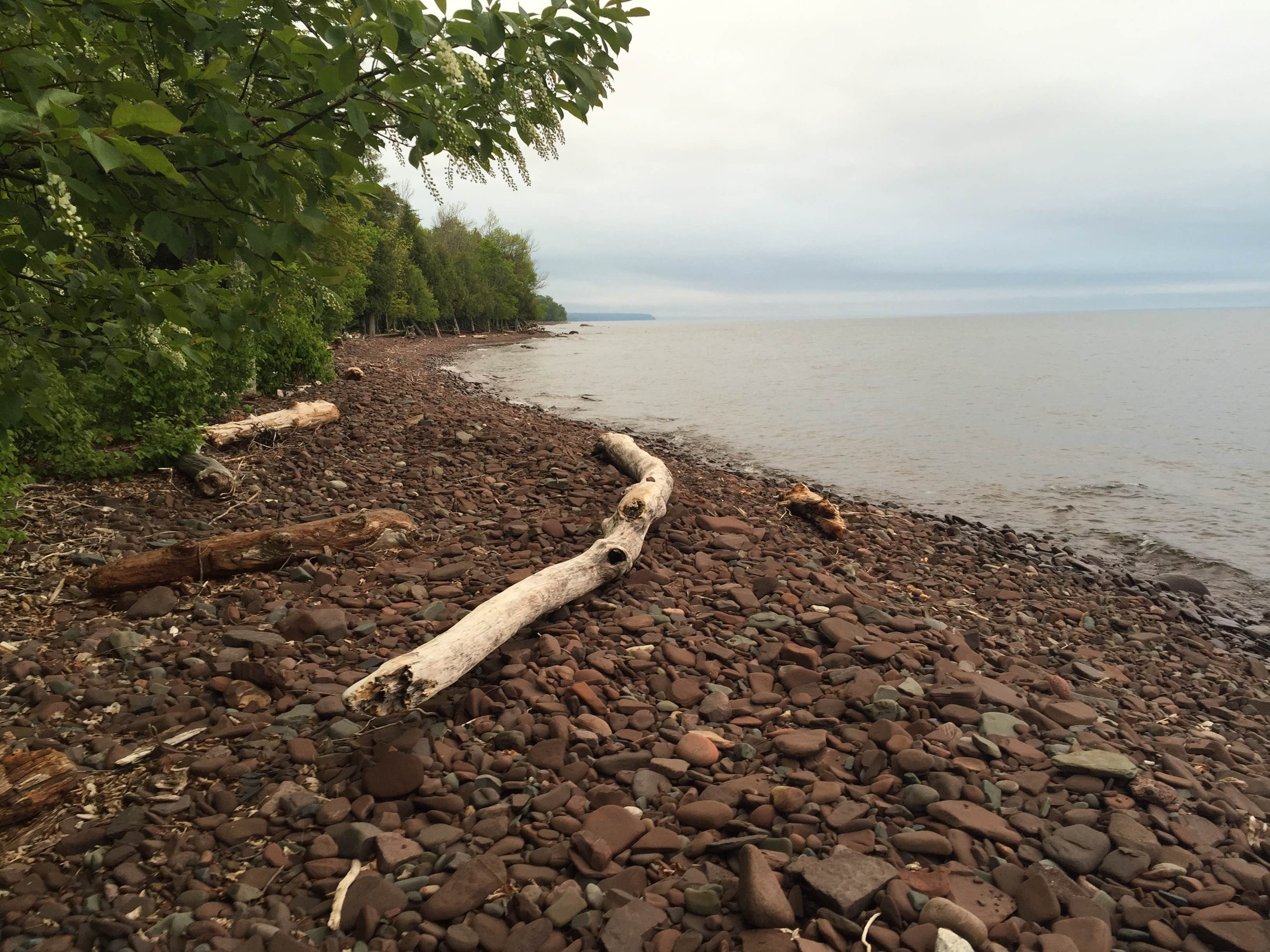 Camper submitted image from Porcupine Mountains Backcountry Camping — Porcupine Mountains Wilderness State Park - 1