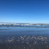 Review photo of Kalaloch Campground - group — Olympic National Park by allison W., July 17, 2022