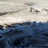 Review photo of Kalaloch Campground - group — Olympic National Park by allison W., July 17, 2022