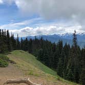 Review photo of Heart O' the Hills Campground — Olympic National Park by allison W., July 17, 2022