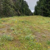 Review photo of Heart O' the Hills Campground — Olympic National Park by allison W., July 17, 2022