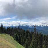 Review photo of Heart O' the Hills Campground — Olympic National Park by allison W., July 17, 2022