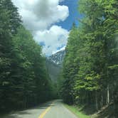 Review photo of Sprague Creek Campground — Glacier National Park by allison W., July 17, 2022