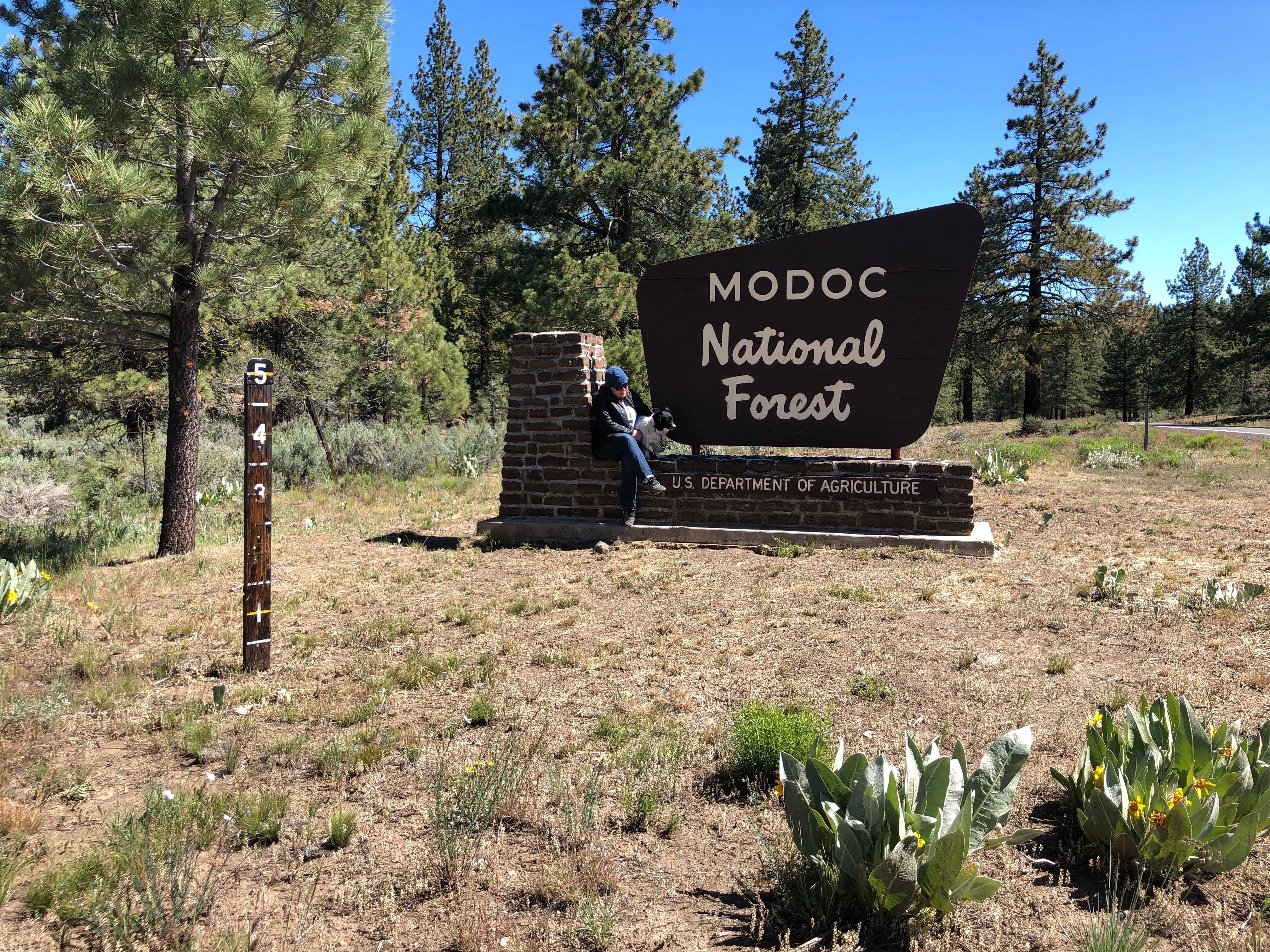 Camping near Indian Well Campground — Lava Beds National Monument: Payne Springs Campground, Modoc National Forest, California