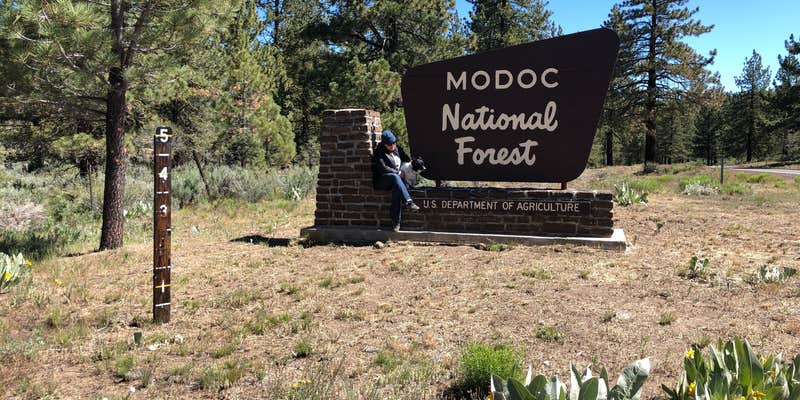 Camper submitted image from Payne Springs Campground