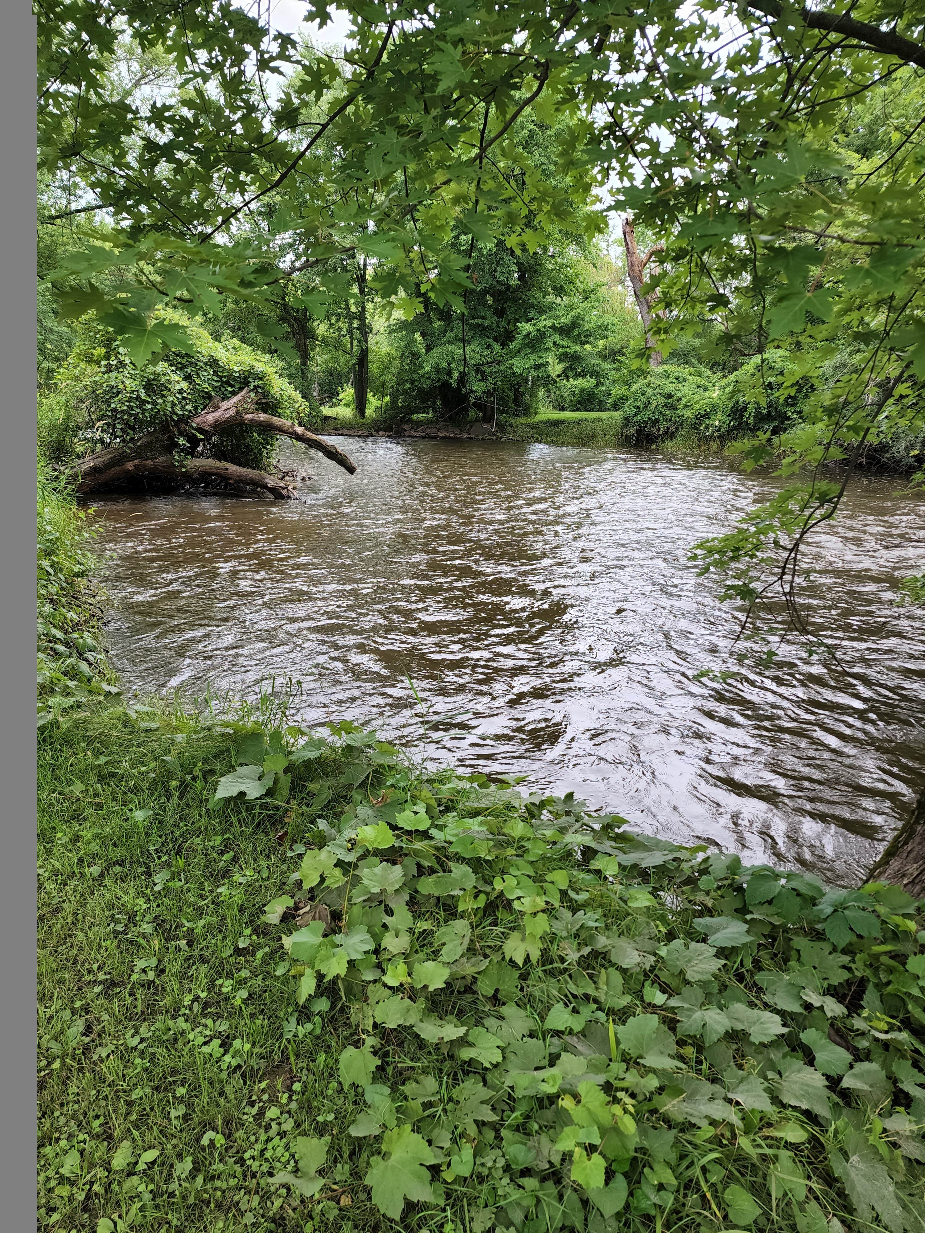 Camper-submitted photo at Holiday Acres Camping Resort near Kirkland, IL