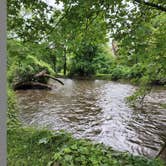 Review photo of Holiday Acres Camping Resort by Doug , July 17, 2022