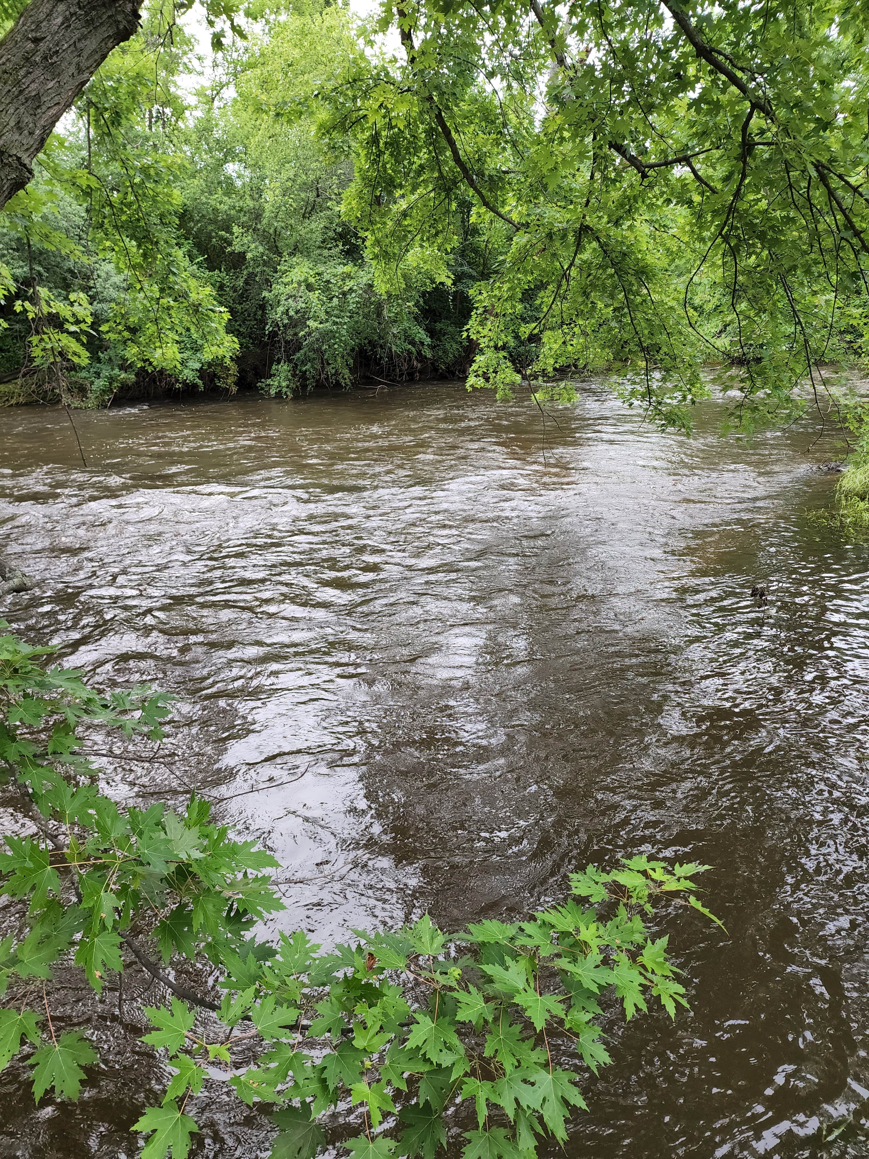 Camper-submitted photo at Holiday Acres Camping Resort near Kirkland, IL