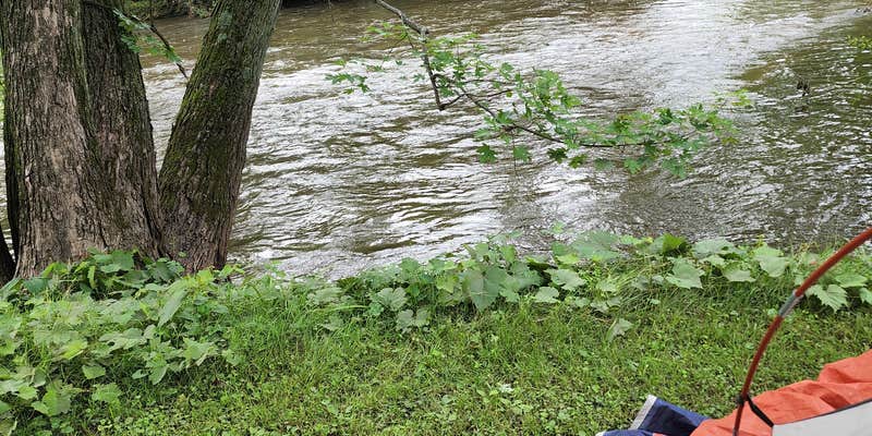 Camper submitted image from Holiday Acres Camping Resort