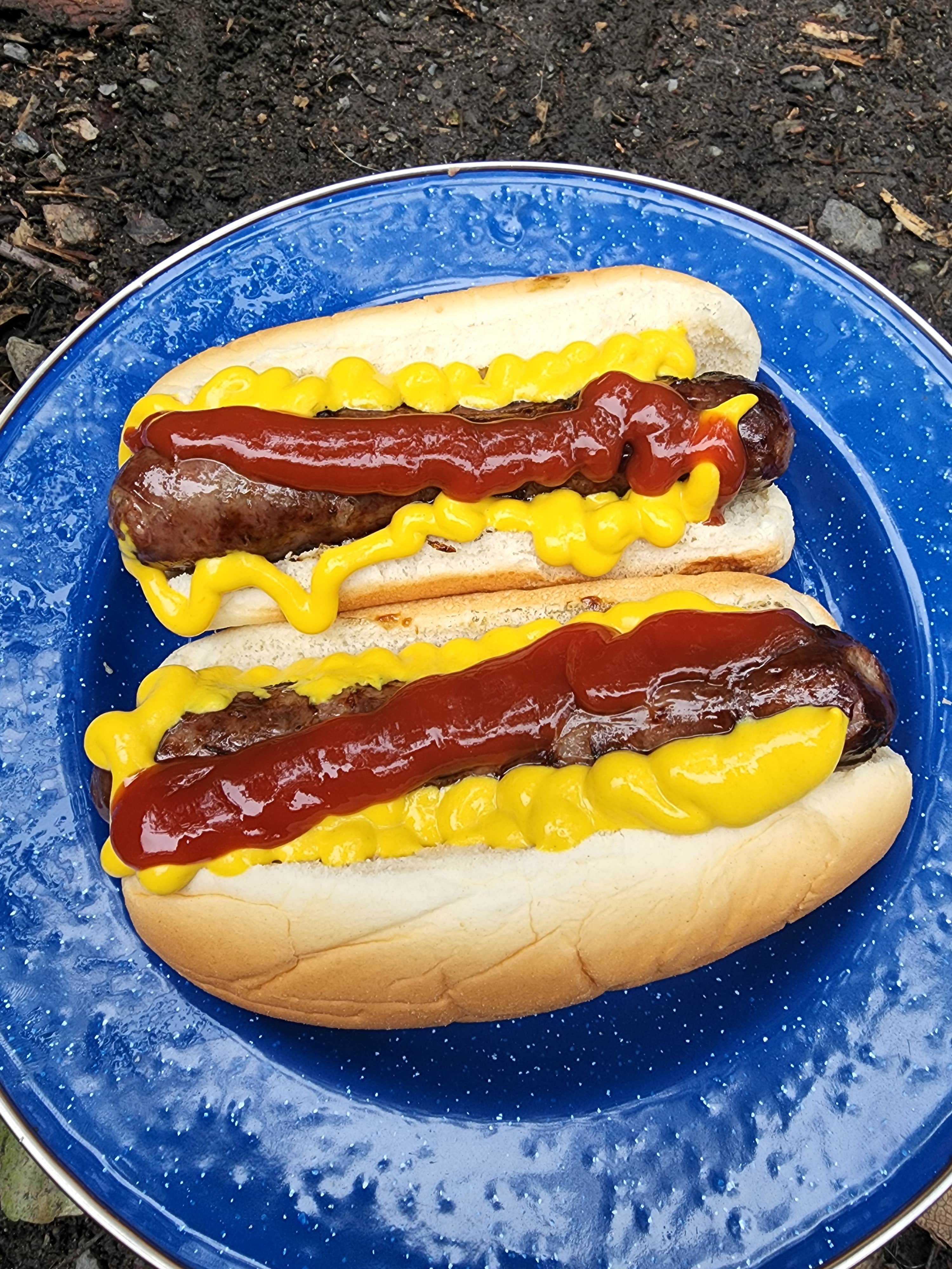 Erik J.'s photo of camping with pets at Eklutna Lake Campground — Chugach State Park near Anchorage, AK