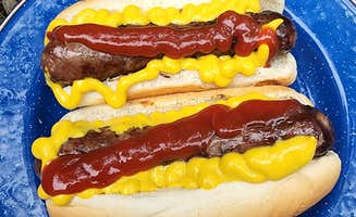 Erik J.'s photo of camping with pets at Eklutna Lake Campground — Chugach State Park in Alaska