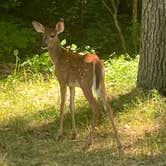 Review photo of Mammoth Cave Campground — Mammoth Cave National Park by Stacia R., July 17, 2022