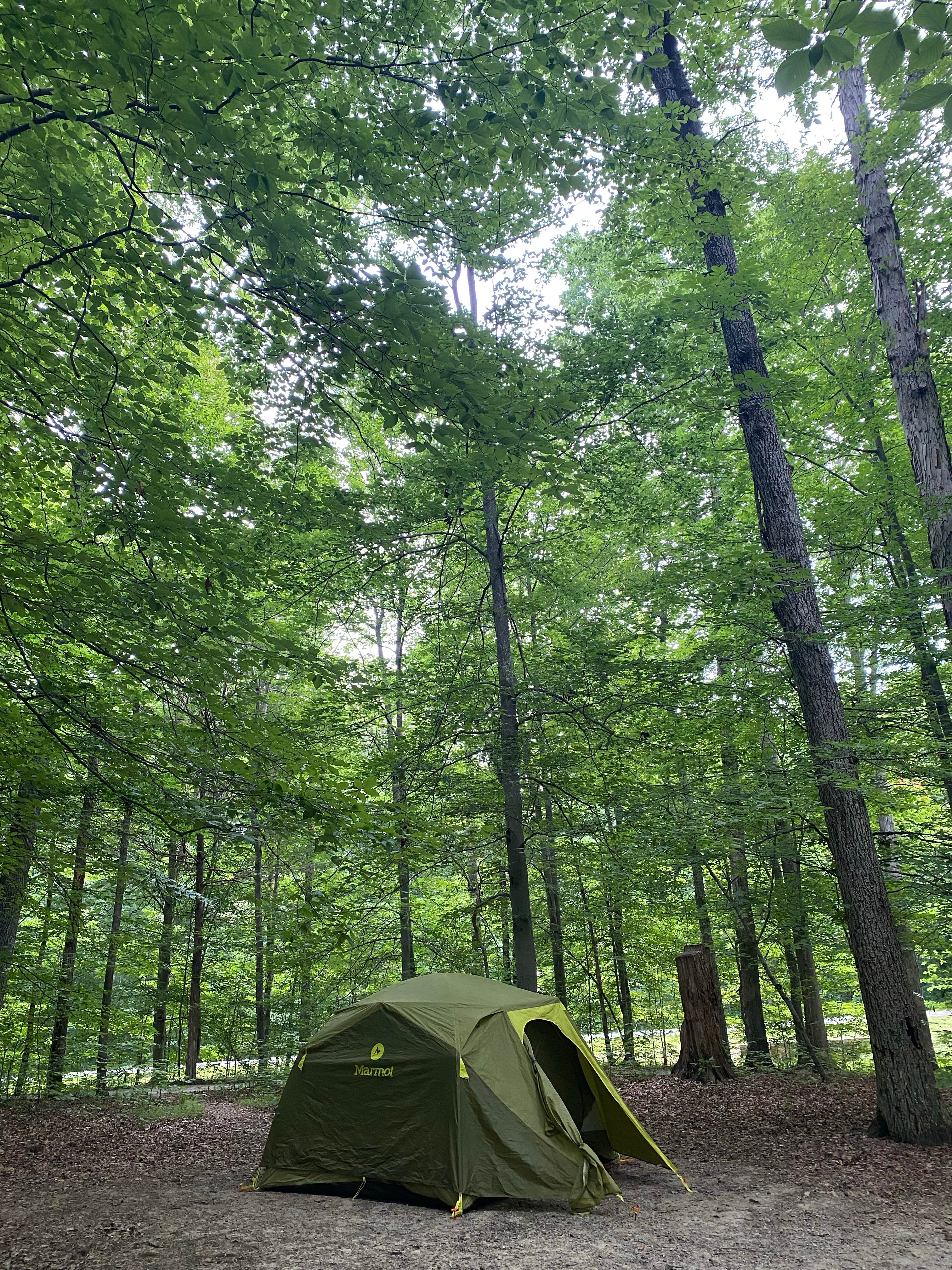 Stacia R.'s photo at Mammoth Cave Campground — Mammoth Cave National Park near Sweeden, KY