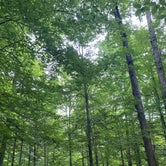 Review photo of Mammoth Cave Campground — Mammoth Cave National Park by Stacia R., July 17, 2022