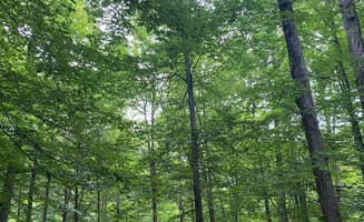 Stacia R.'s photo at Mammoth Cave Campground — Mammoth Cave National Park near Brownsville, KY