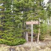 Review photo of Indian Meadows Trailhead by Dexter I., July 17, 2022
