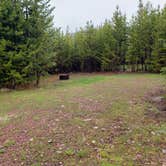 Review photo of Indian Meadows Trailhead by Dexter I., July 17, 2022