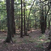 Review photo of Porcupine Mountains Backcountry Camping — Porcupine Mountains Wilderness State Park by Jay W., July 19, 2018