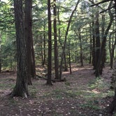 Review photo of Porcupine Mountains Backcountry Camping — Porcupine Mountains Wilderness State Park by Jay W., July 19, 2018
