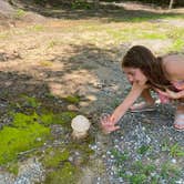 Review photo of Yogi on the Lake - Jellystone Pelahatchie by Shirley B., July 17, 2022