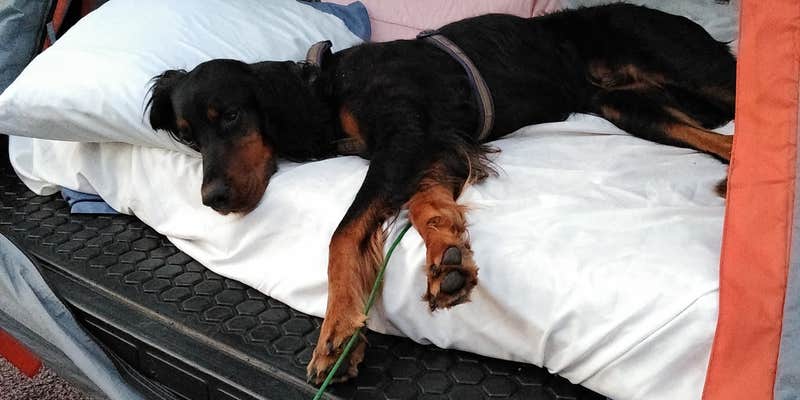 Camper submitted image from Pierson Ranch Recreation Area