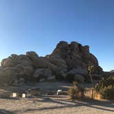 Review photo of Indian Cove Campground — Joshua Tree National Park by Autumn O., July 17, 2022