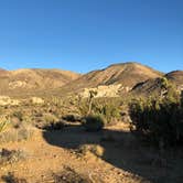 Review photo of Indian Cove Campground — Joshua Tree National Park by Autumn O., July 17, 2022