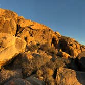 Review photo of Indian Cove Campground — Joshua Tree National Park by Autumn O., July 17, 2022