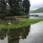 Review photo of Red House Area — Allegany State Park State Park by Kelly B., July 19, 2018
