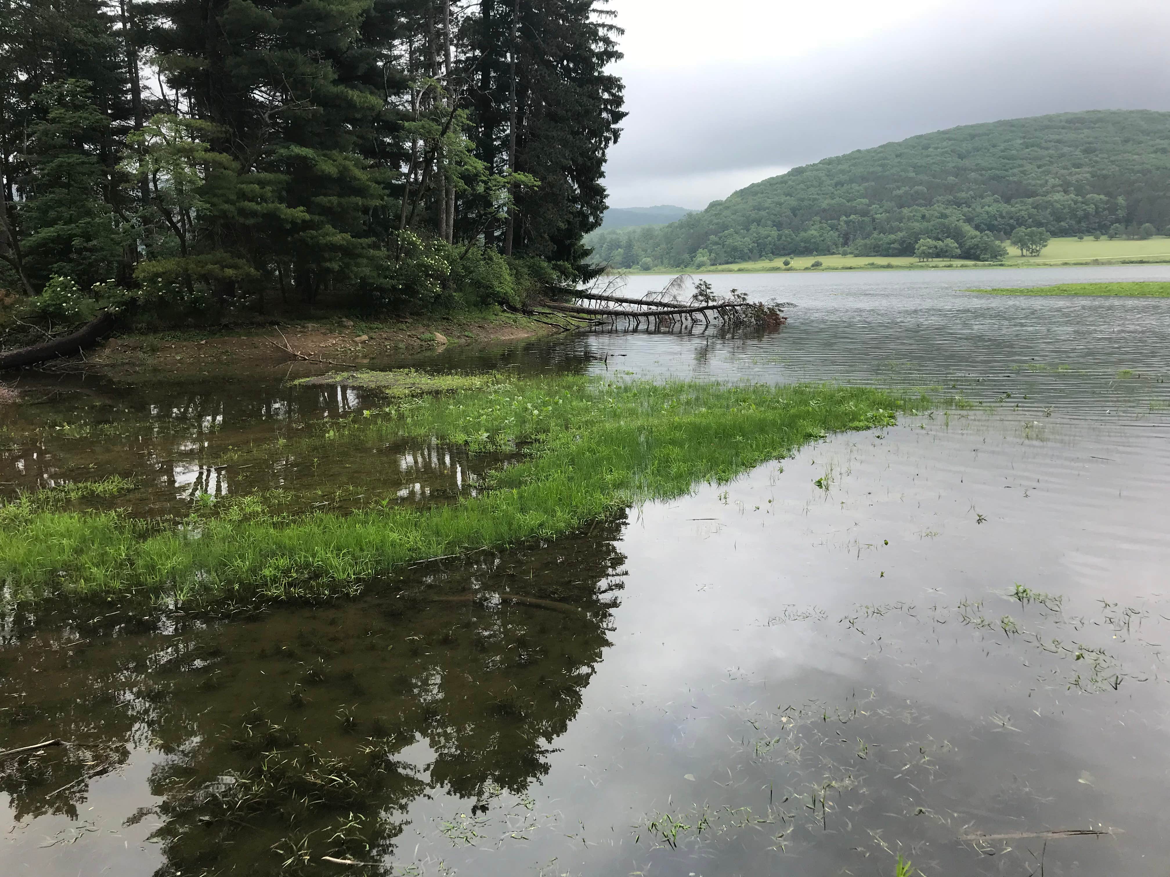 Camper submitted image from Red House Area — Allegany State Park State Park - 1