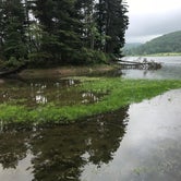 Review photo of Allegany State Park — Allegany State Park State Park by Kelly B., July 19, 2018
