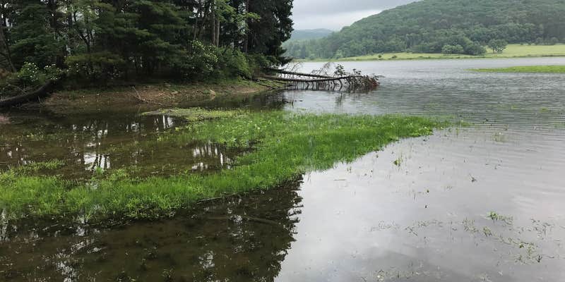 Camper submitted image from Red House Area — Allegany State Park State Park
