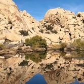 Review photo of Indian Cove Campground — Joshua Tree National Park by Autumn O., July 17, 2022