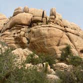 Review photo of Indian Cove Campground — Joshua Tree National Park by Autumn O., July 17, 2022