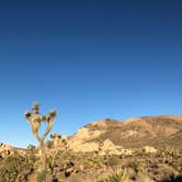 Review photo of Indian Cove Campground — Joshua Tree National Park by Autumn O., July 17, 2022