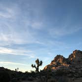 Review photo of Indian Cove Campground — Joshua Tree National Park by Autumn O., July 17, 2022