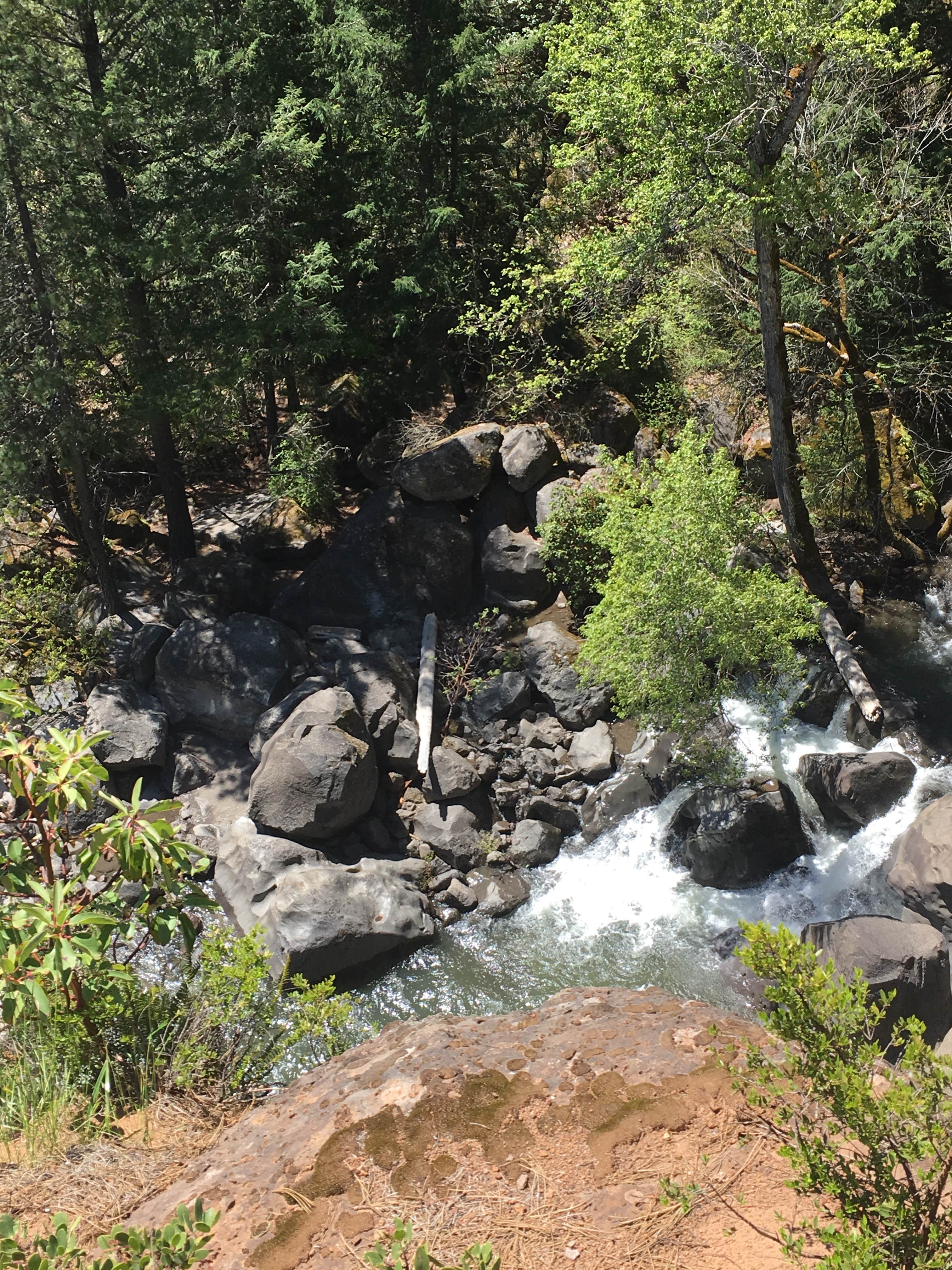 Camper-submitted photo at Mill Creek Campground near Prospect, OR