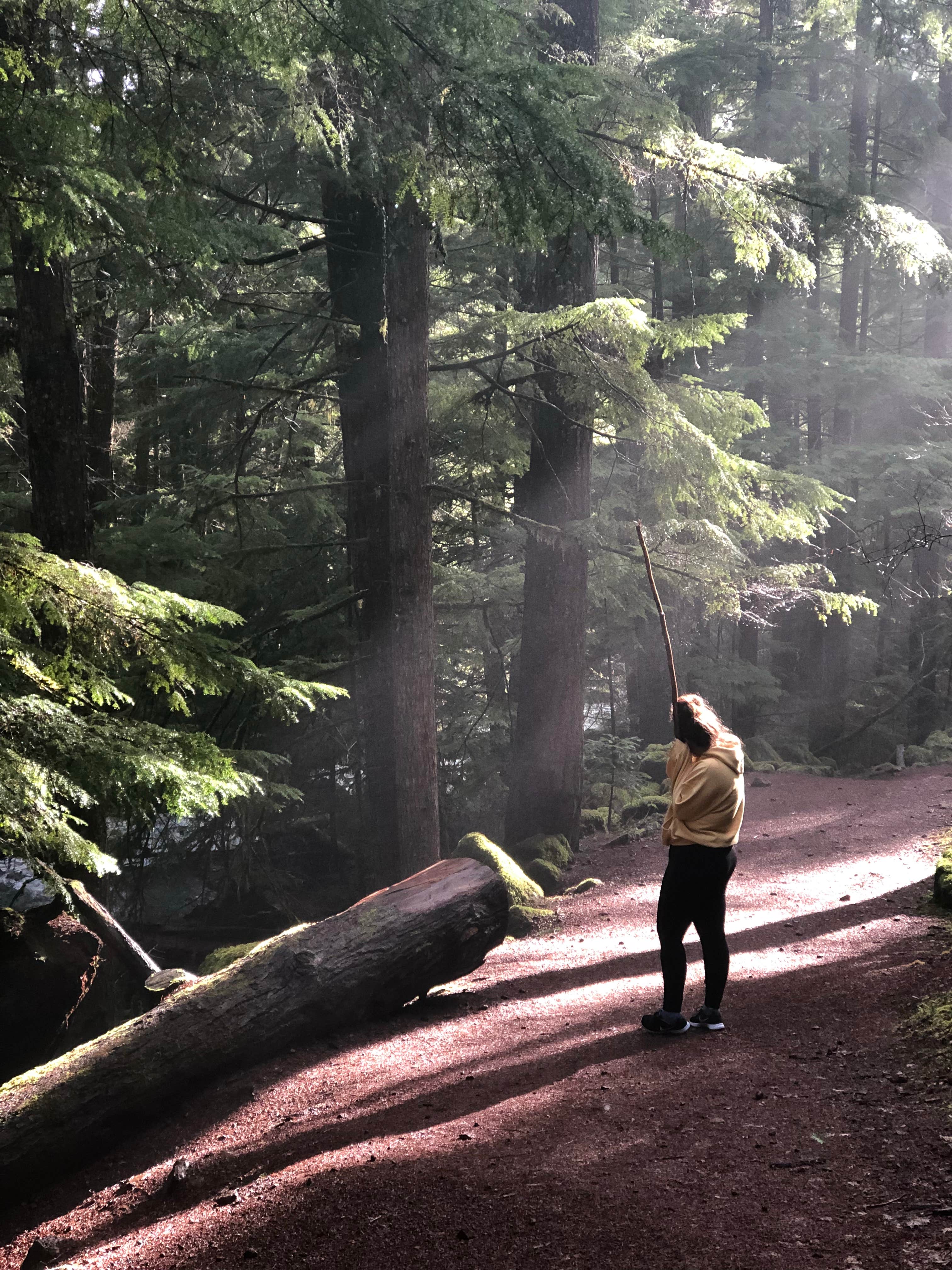 Camper submitted image from Mill Creek Campground - 2
