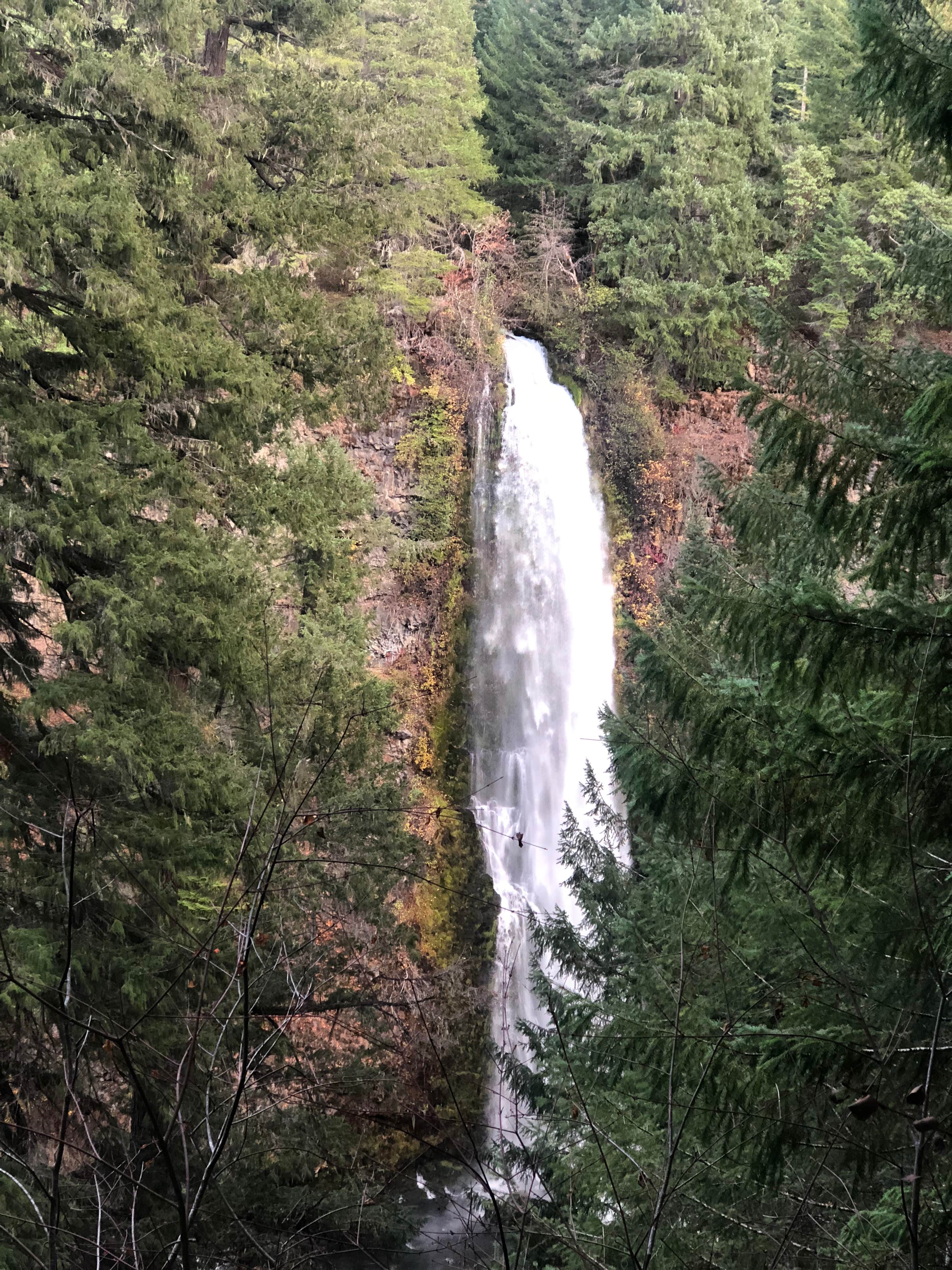 Camper-submitted photo at Mill Creek Campground near White City, OR