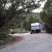 Review photo of Lower Lehman Campground — Great Basin National Park by Dexter I., July 17, 2022