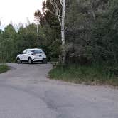 Review photo of Lower Lehman Campground — Great Basin National Park by Dexter I., July 17, 2022