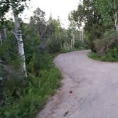 Review photo of Lower Lehman Campground — Great Basin National Park by Dexter I., July 17, 2022