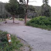 Review photo of Lower Lehman Campground — Great Basin National Park by Dexter I., July 17, 2022